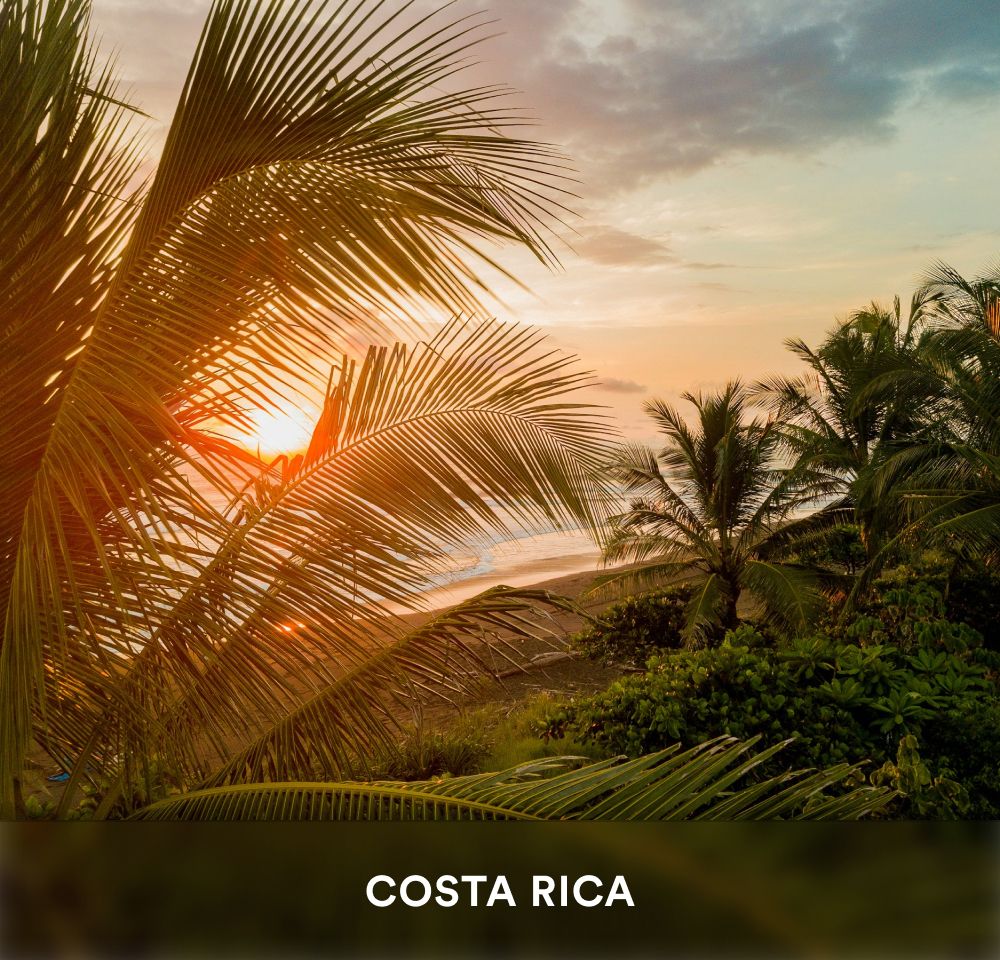 Tropical sunset through palm trees overlooking a beach in Costa Rica