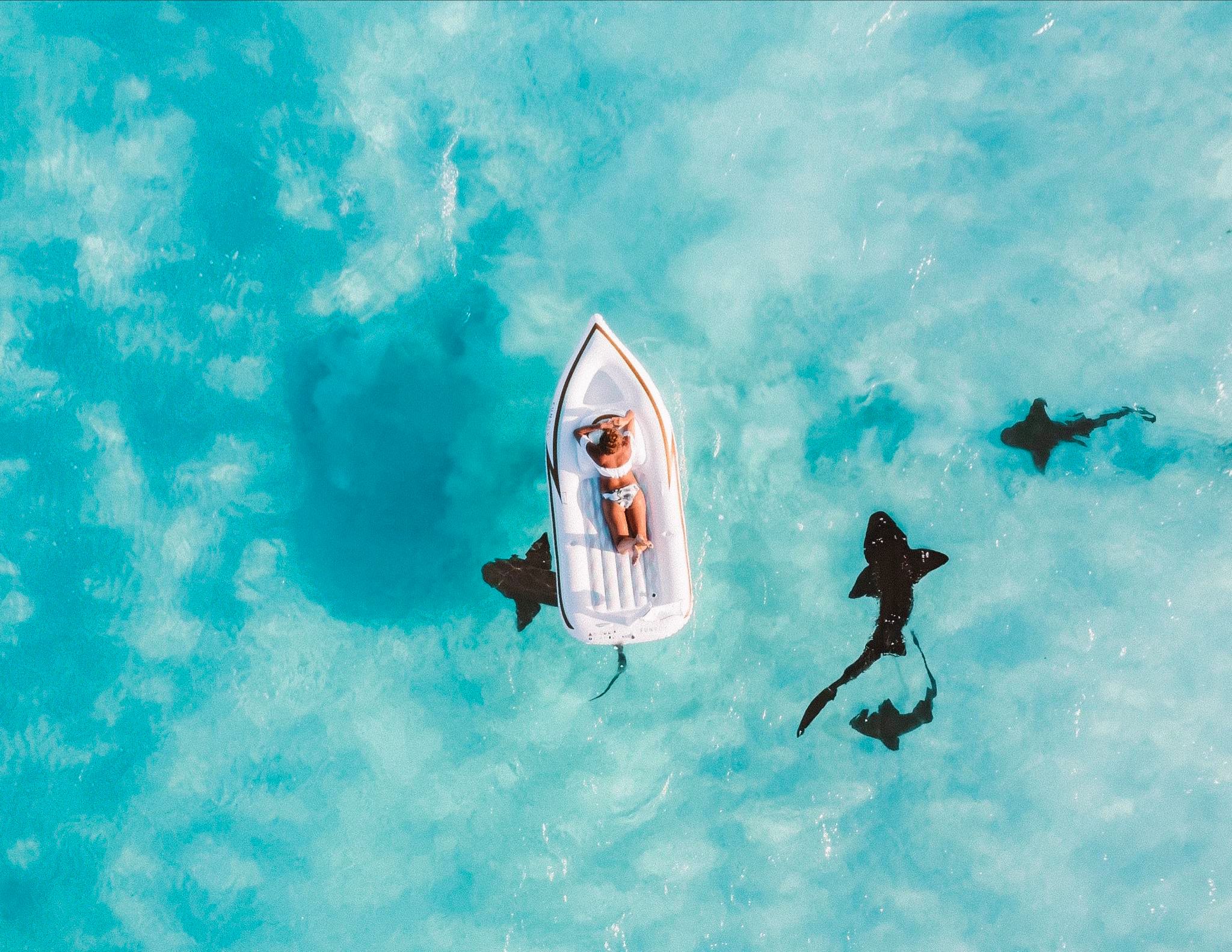 A person relaxes on a small white boat surrounded by sharks in clear blue water.