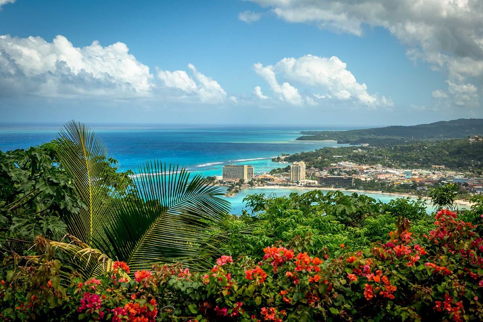 red flowers with view of resort on the water