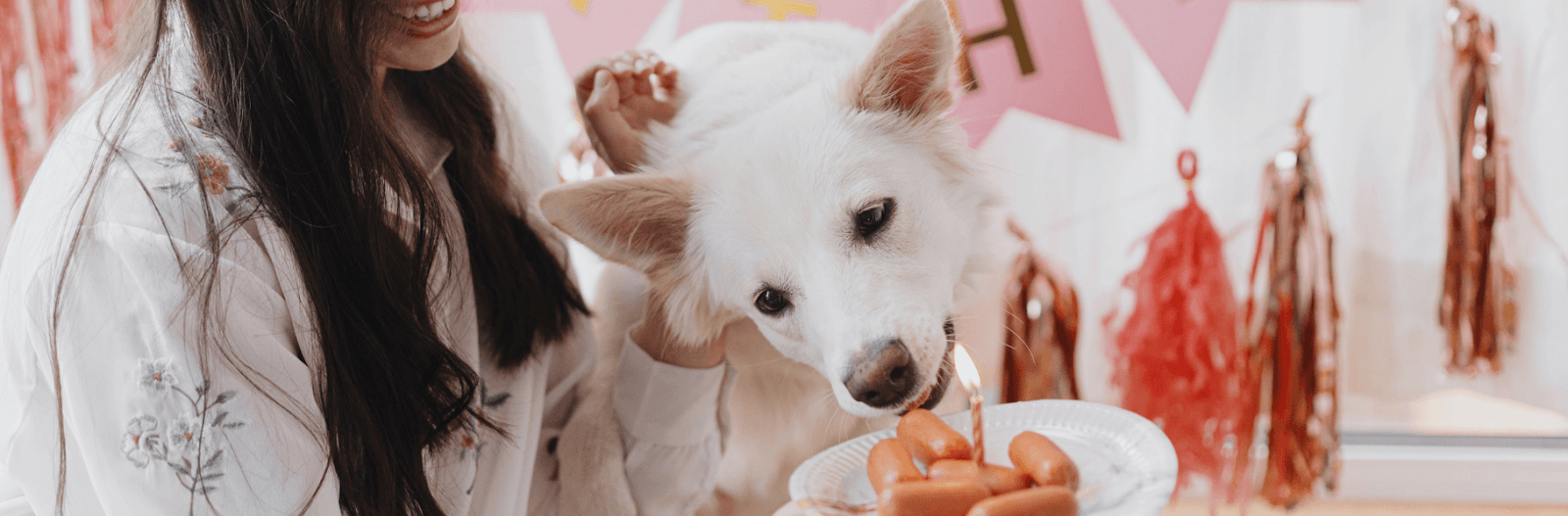 dog eating a hot dog birthday cake